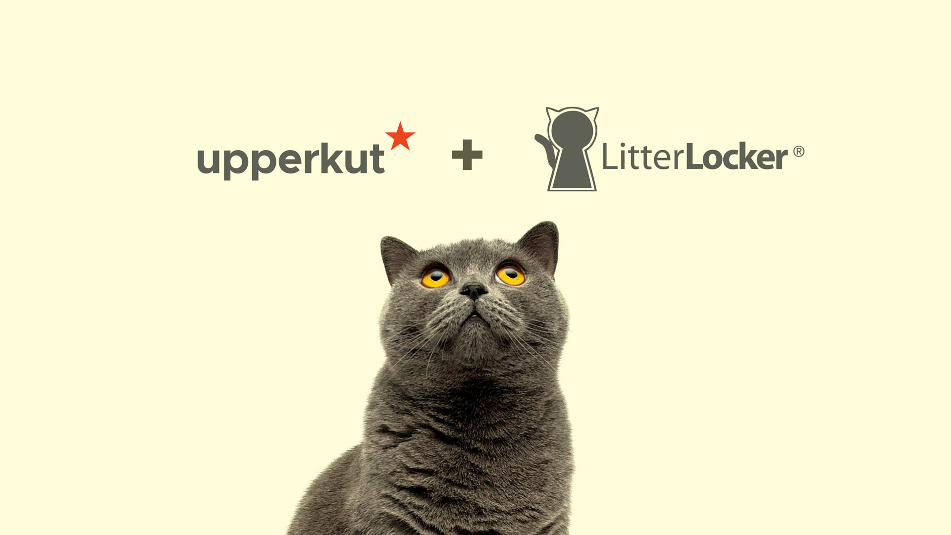 LitterLocker accorde un mandat stratégique à Upperkut